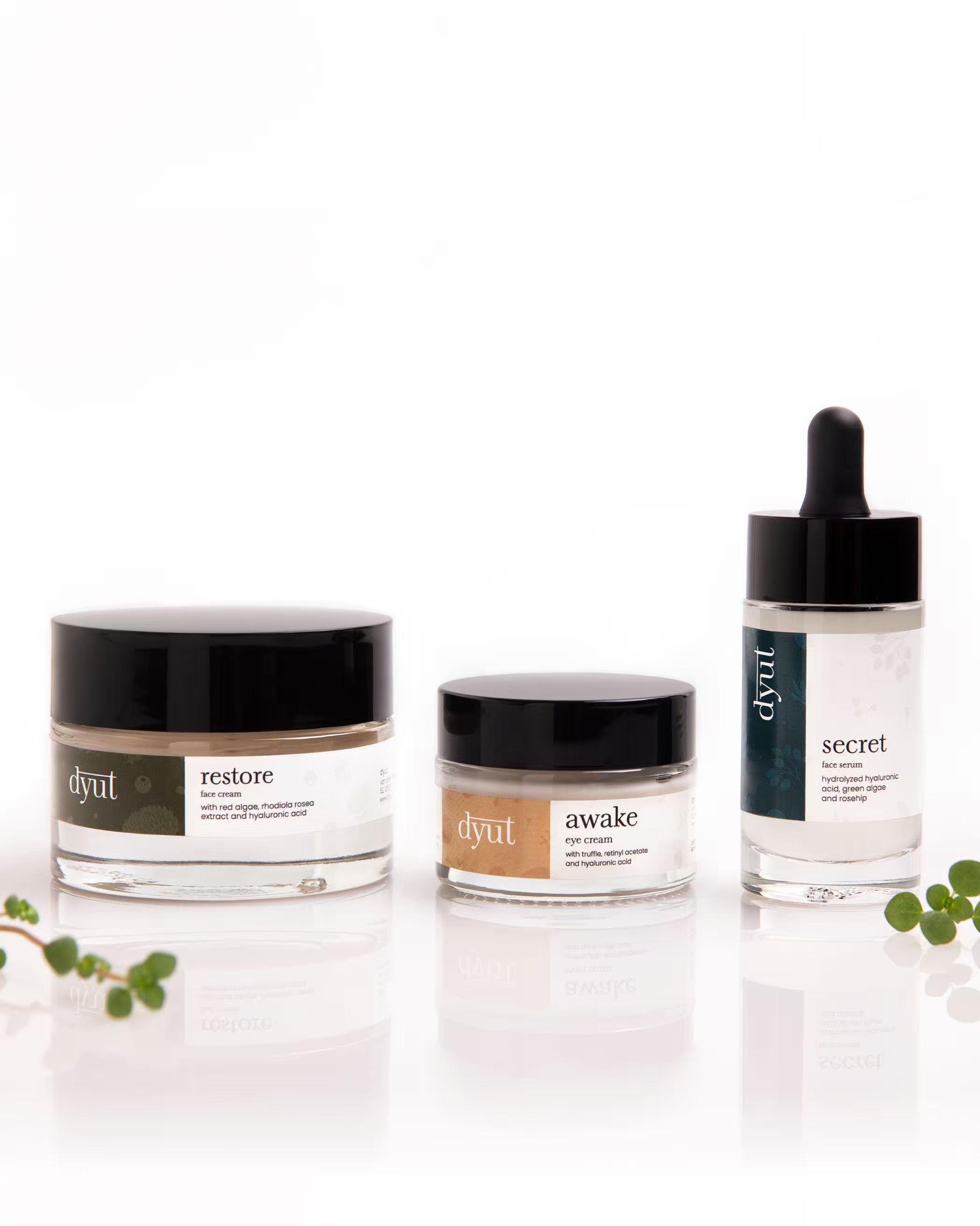 Hyaluronic Lift and Plump Set